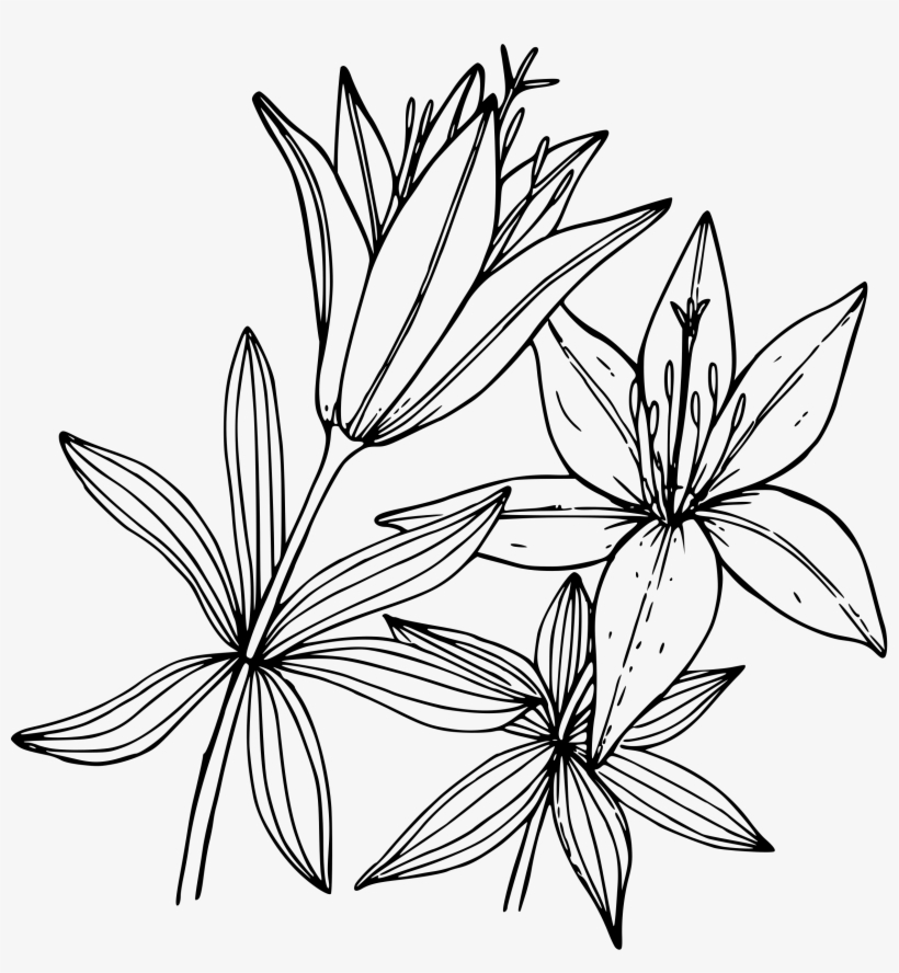 This Free Icons Png Design Of Wood Lily, transparent png download