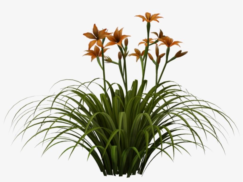 Picsart Photo Studio, transparent png download