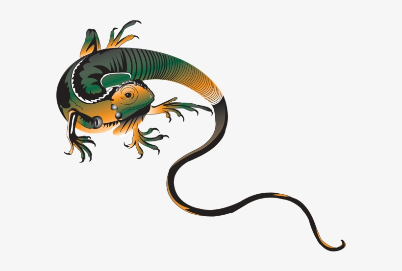 Lizard, transparent png download