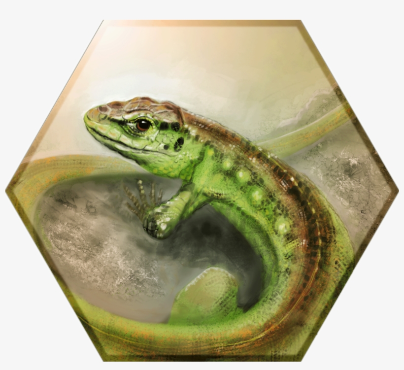 Lacerta Agilis - Sand Lizard, transparent png download