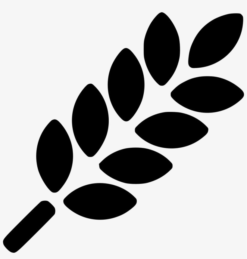 Fruit Healthy Wheat Crop Fresh Ripe Diet Comments - Cereals Icon Png, transparent png download