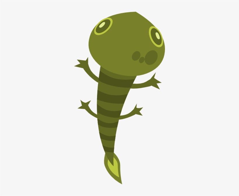 How To Set Use Firebog Lizard Clipart, transparent png download