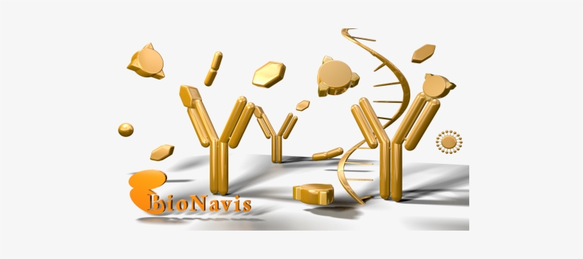 Mp-spr For Antibody Characterization - Antigen And Antibody Png, transparent png download