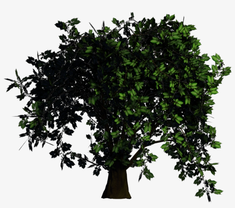 Alpha Texture - Portable Network Graphics, transparent png download