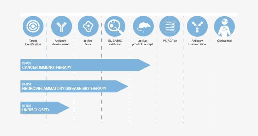 Immusmol's Pipeline Of Small Molecule Antibodies - Therapeutic Antibodies, transparent png download