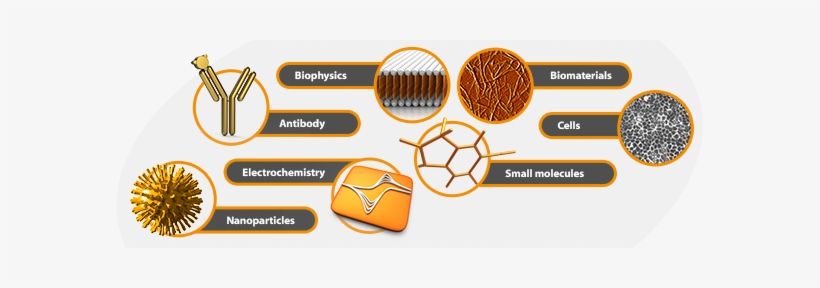 Biosensor Development, transparent png download