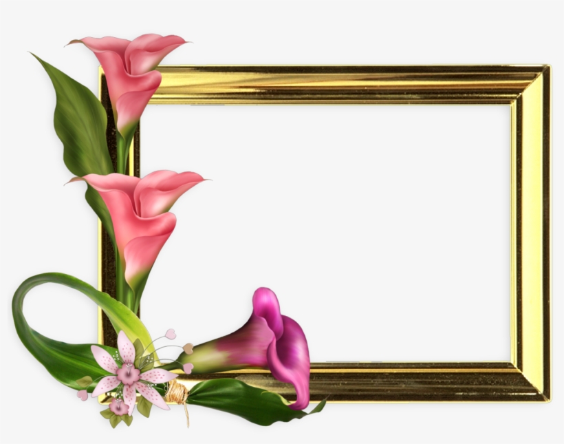 Si Te Gustaron, Dale Clic A 1 O Compártelo En Facebook - ภาพ กรอบ รูป ดอกไม้, transparent png download