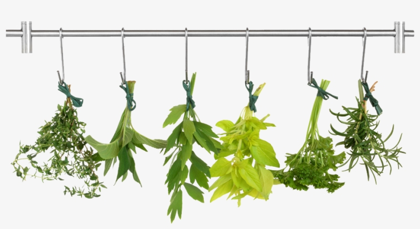 Herb Png Pic - Magia Domowa, transparent png download