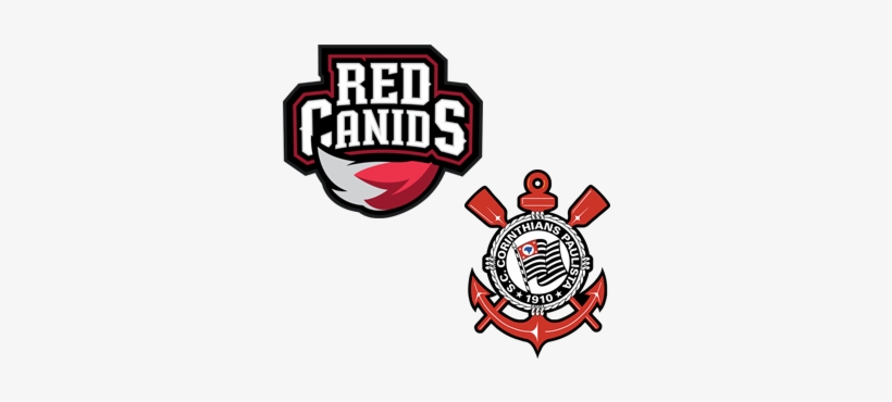 Next - Red Canids, transparent png download