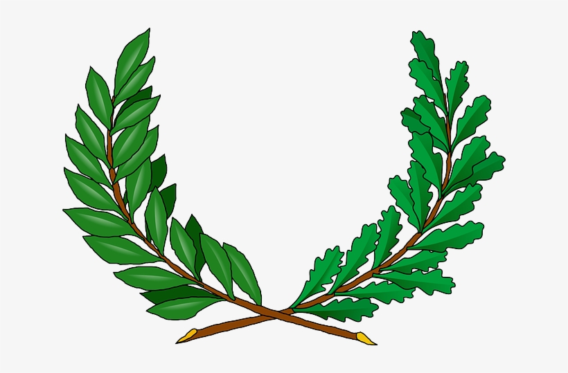 Green, Tree, Branches, Cartoon, Peace, Vine, Greek - Vine Coat Of Arms, transparent png download
