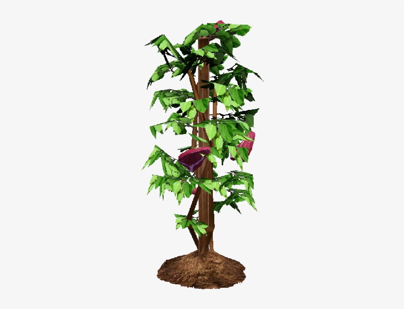 Tomato Plant, Watermelon Vine - The Sims 3, transparent png download