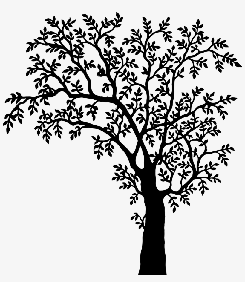 How To Draw A Tree - Grimm's Fairy Tales: 64 Dark Original Tales -, transparent png download