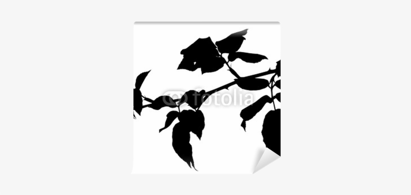 Vector Of A Tree Branch Silhouette Wall Mural - Tree Branch Silhouette, transparent png download