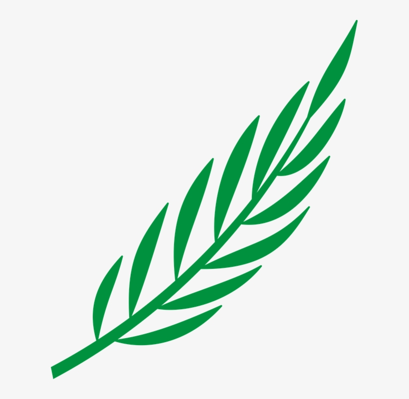 Branch Silhouette Clipart - Cape Verde, transparent png download