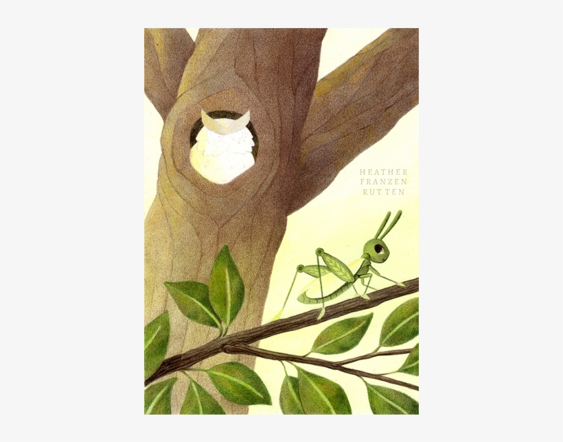 6) Finish The Tree I Fade The Colors At The Bottom - Color, transparent png download