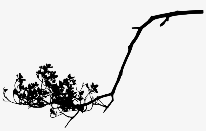 Tree Branch Silhouette Png - Portable Network Graphics, transparent png download