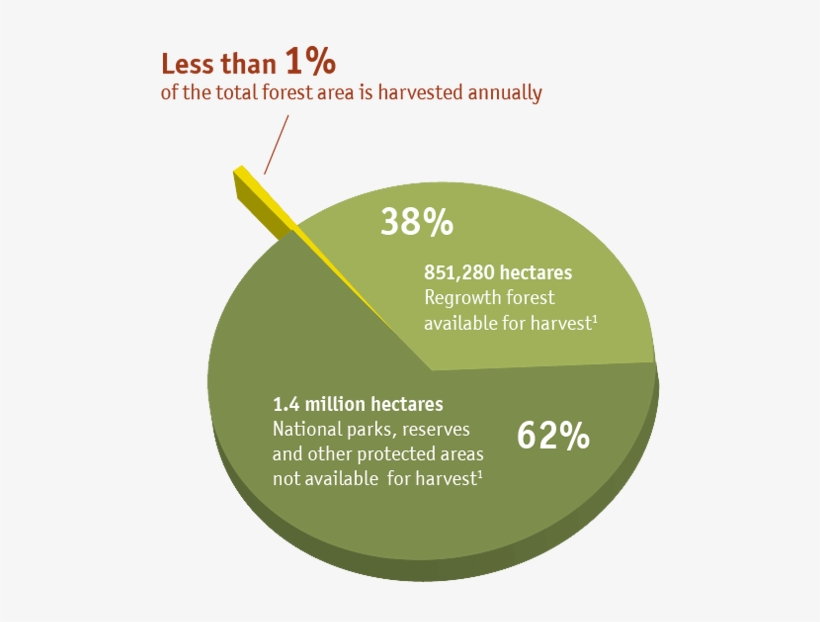Pie Chart Representing The Total Native Forest Estate - Old Growth Forests In Australia, transparent png download