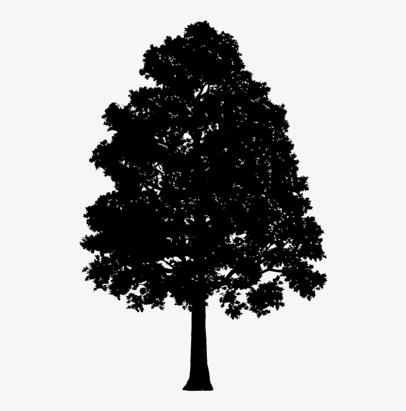 Lonely Tree Silhouette - Tree Silhouette, transparent png download