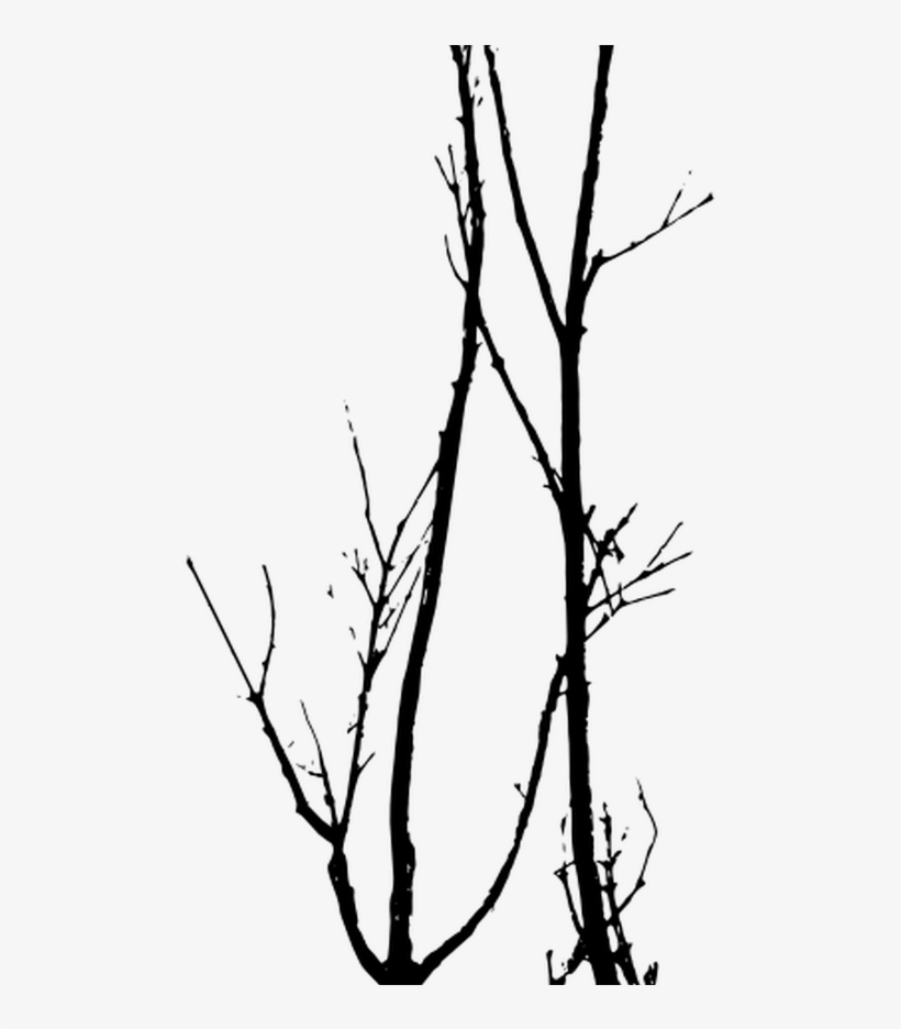 Dead Trees Vector Tree Silhouette Photoshop Pinterest - Tree, transparent png download