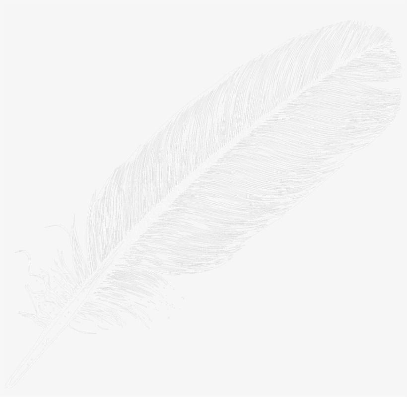 Free Png Feather Png Images Transparent - Literary Criticism By Charles E. Bressler, transparent png download