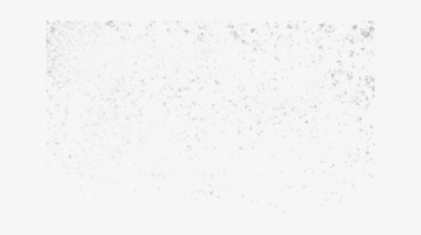 Falling Feathers Png Download - Sky, transparent png download