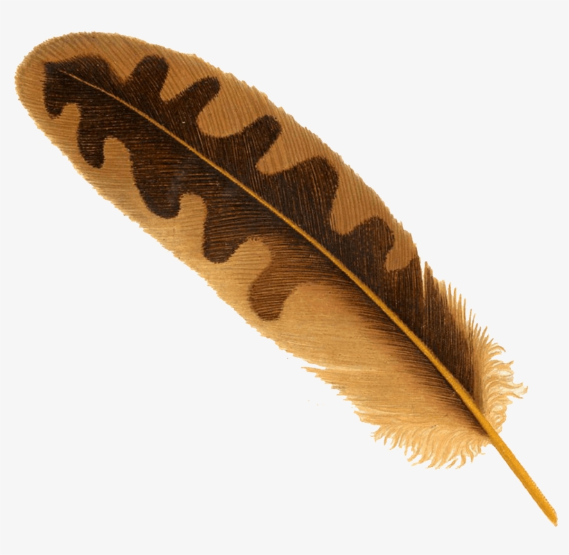 Free Png Feather Png Images Transparent - Living Better While Living With Pain: 21 Ways To Reduce, transparent png download