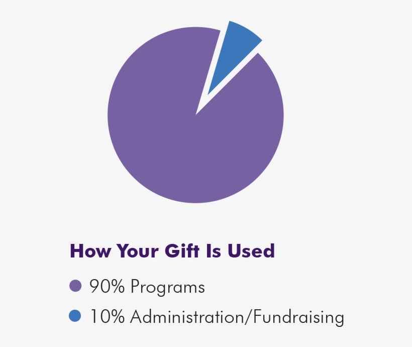 Nmf Pie Chart Update 8 - Circle, transparent png download