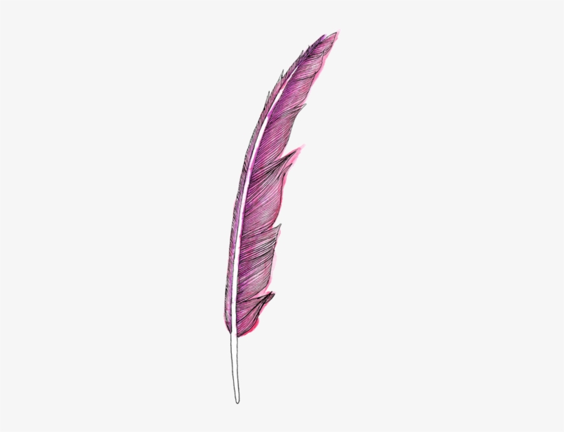 Pink Hand Drawn Feather - Feather Png, transparent png download