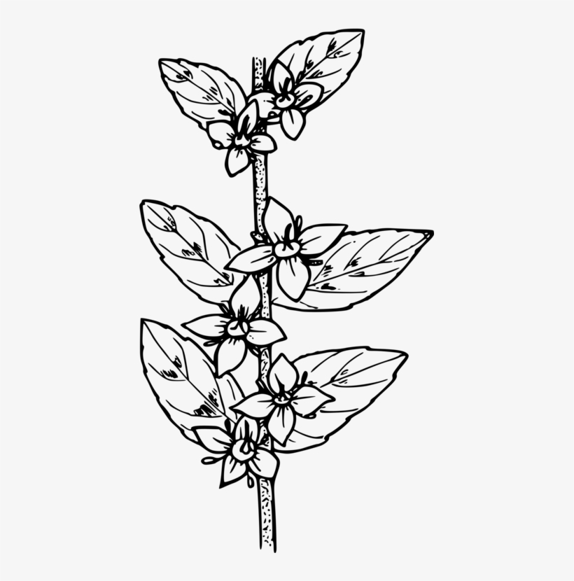 Computer Icons Oregon Drawing Tree /m/02csf - Line Art, transparent png download