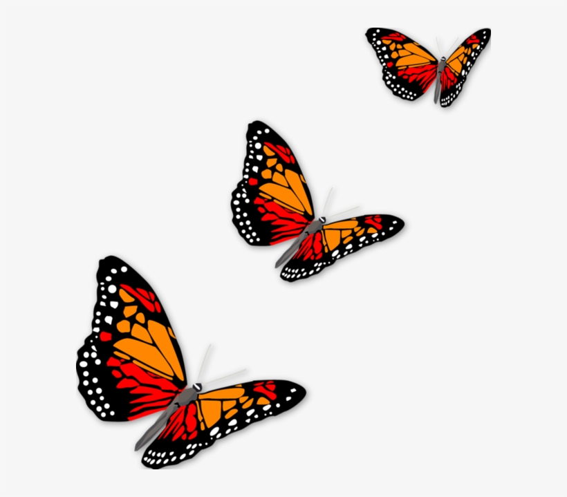 Row Of Butterflies, transparent png download