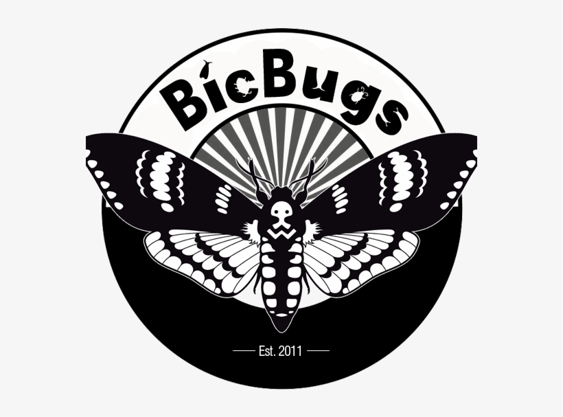 Shop All Products - Bug Font, transparent png download
