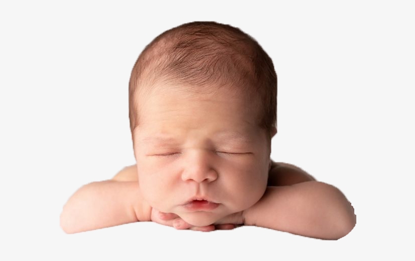 Baby Photography Png Clipart - Baby, transparent png download