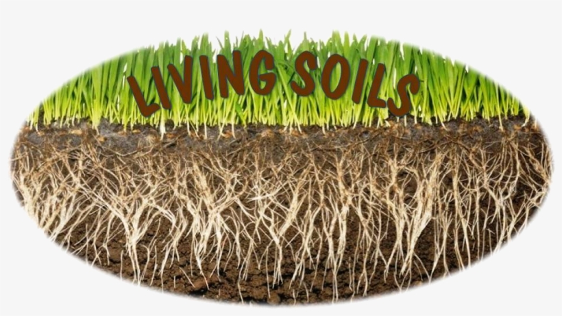 Fertilizer Land, transparent png download