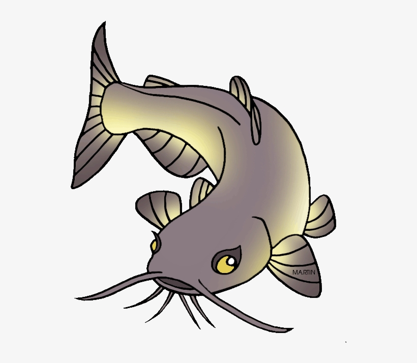 Nebraska Clipart Png - Catfish Clip Art, transparent png download
