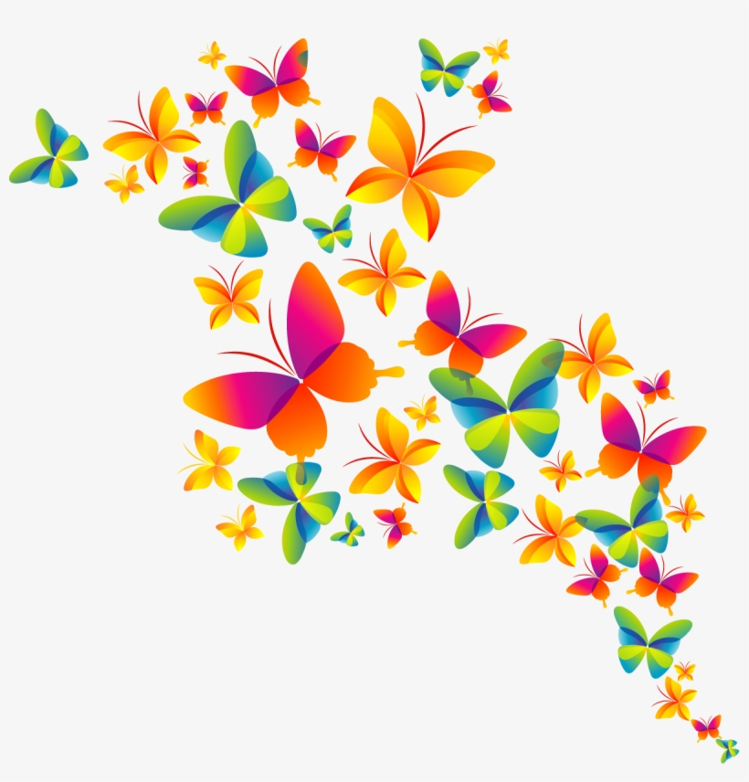 Butterfly Color Cmyk Holi Model Happy Clipart - Holi Png, transparent png download