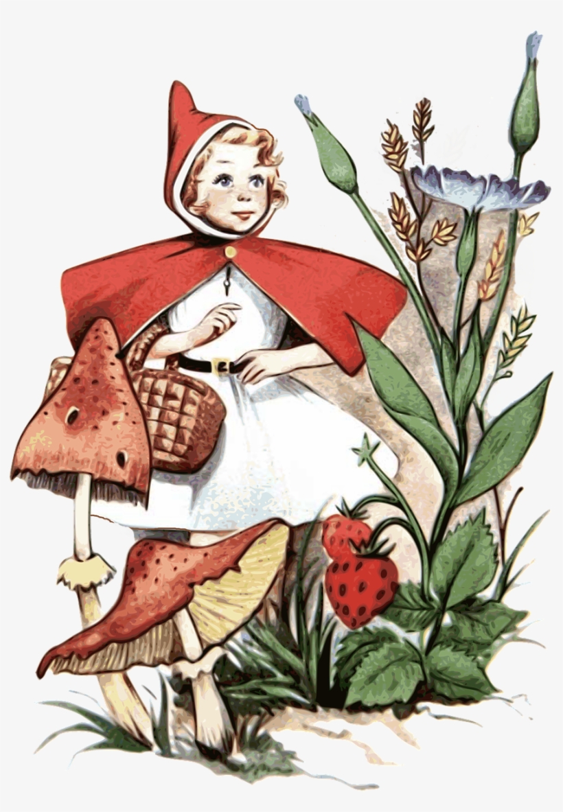 Little Red Riding Hood Red Hood Png Image - Chapeuzinho Vermelho Historia Charles Perrault, transparent png download