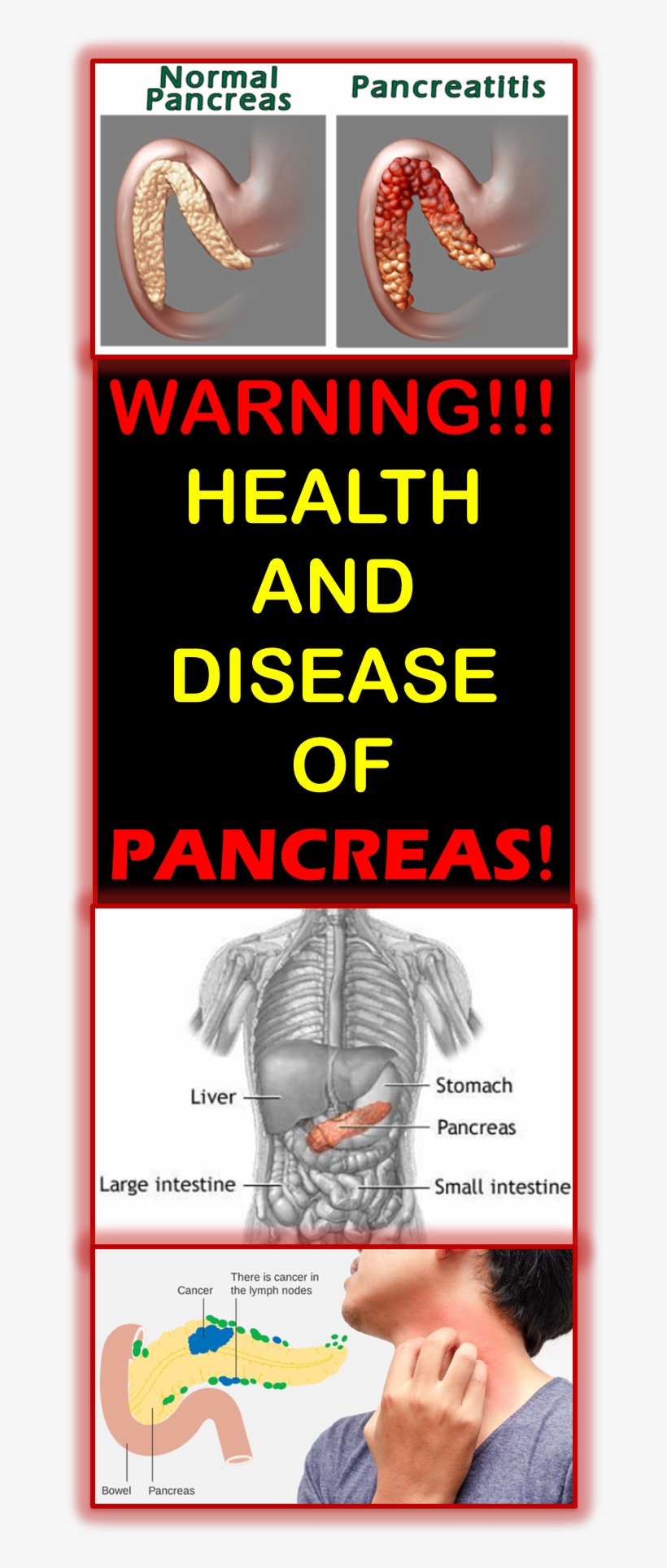 Health Of Pancreas Is Necessary For Good Function Of - Nj Wealth, transparent png download