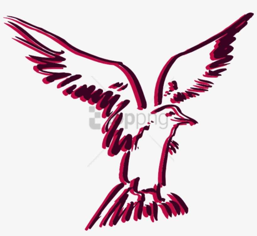 Free Png Download How To Set Use Flying Bird Outline - Clip Art, transparent png download