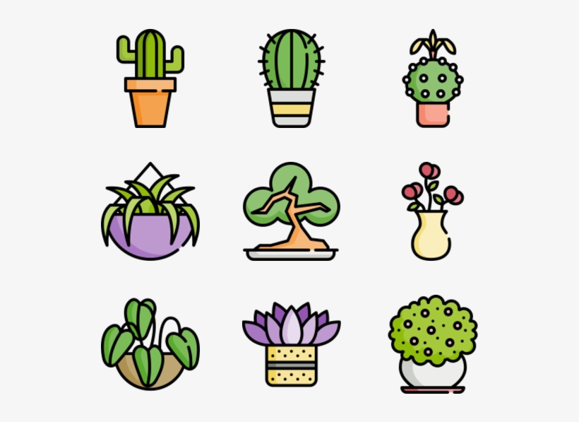 House Plants, transparent png download