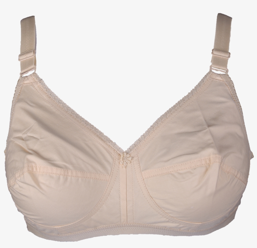Brassiere, transparent png download