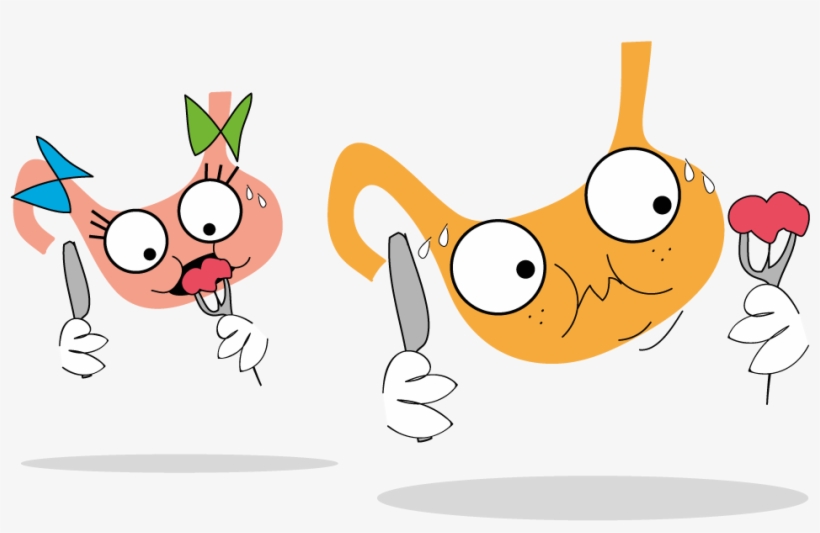 Gut Friends - Net - Cartoon, transparent png download