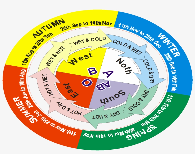 Colours Show Temperaments Of Blood Groups And Changing - Circle, transparent png download