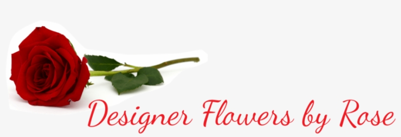 Designer Flowers By Rose - Garden Roses, transparent png download
