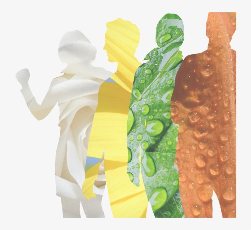 Illustration, transparent png download