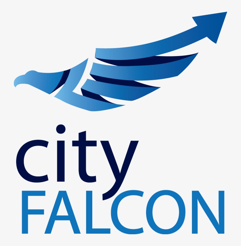 City Falcon Final Logo Sqaure - Poster, transparent png download