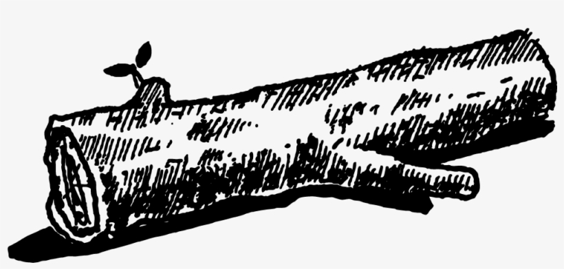 New York City Silhouette Png, transparent png download