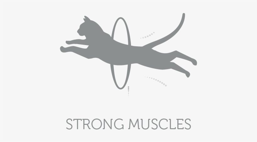 Strong Muscles Of Active Cats Maintained By Providing - Silhouette, transparent png download