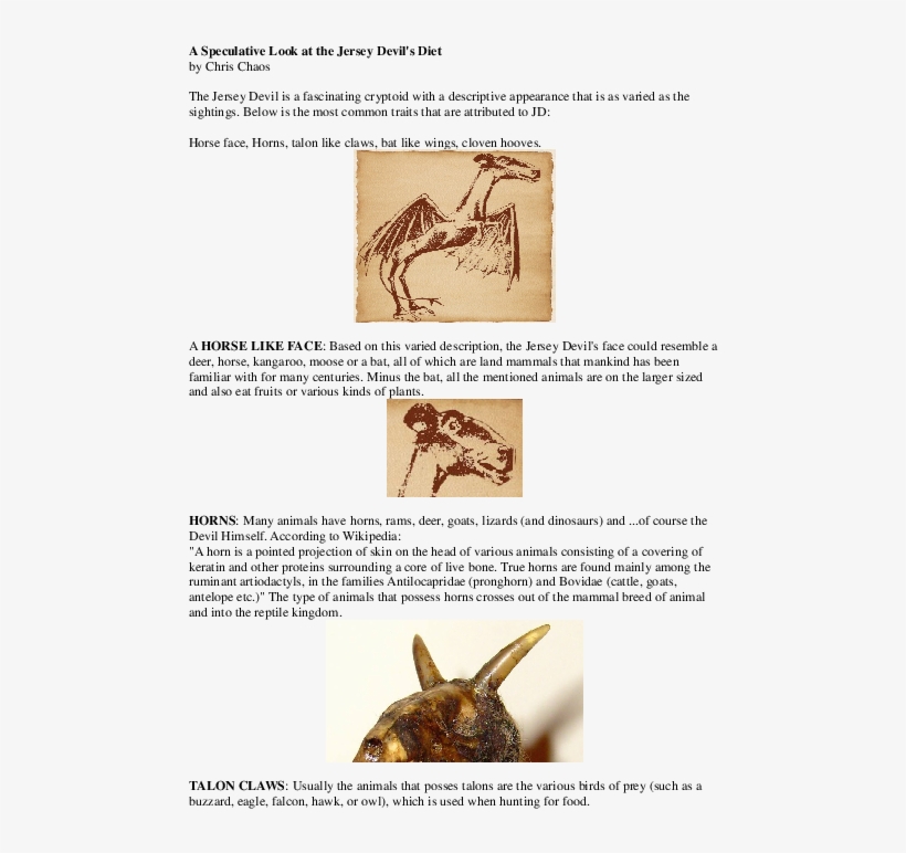 Pdf - New Jersey Devil, transparent png download