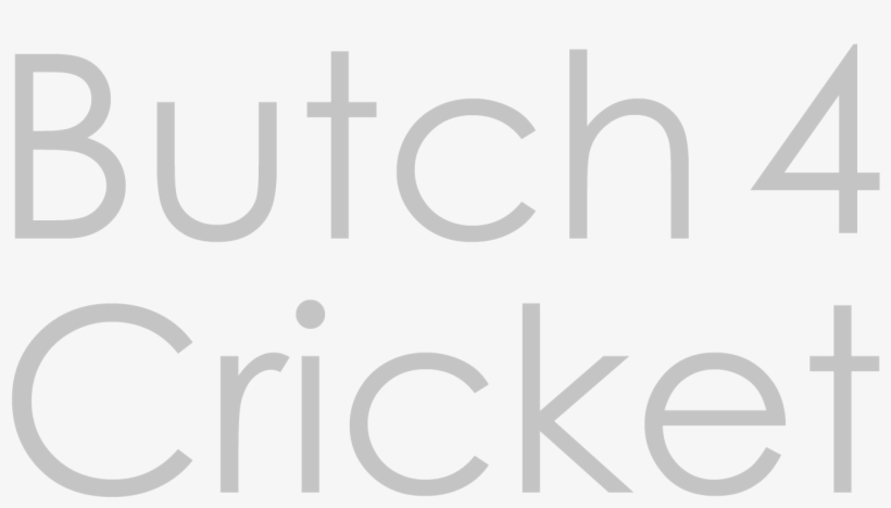 Butch 4 Cricket Logo - Ackermann, transparent png download