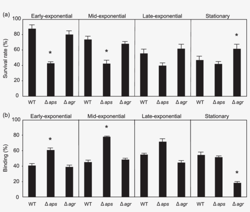 Susceptibility To Hbd3 And Cytochrome C Binding Affinity - City, transparent png download